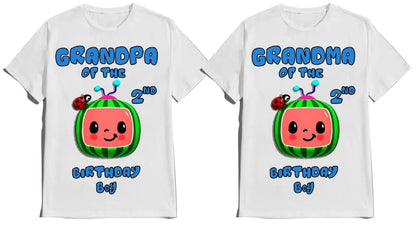 Birthday Shirt Melon Boy Girl Customize with Name and Age Family Matching Shirts Kids party